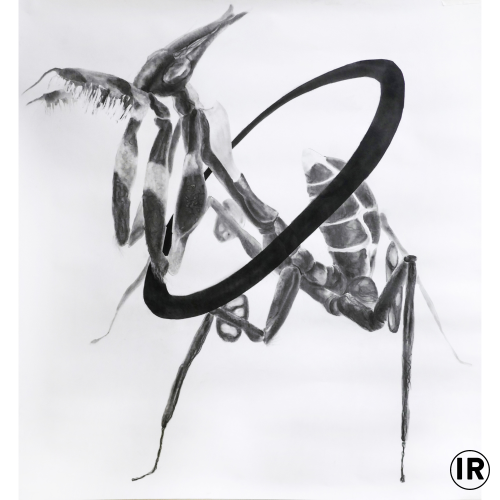 Naturgeist,2017,ion rudolf,graphite and pastel on paper,1,50χ1,50cm