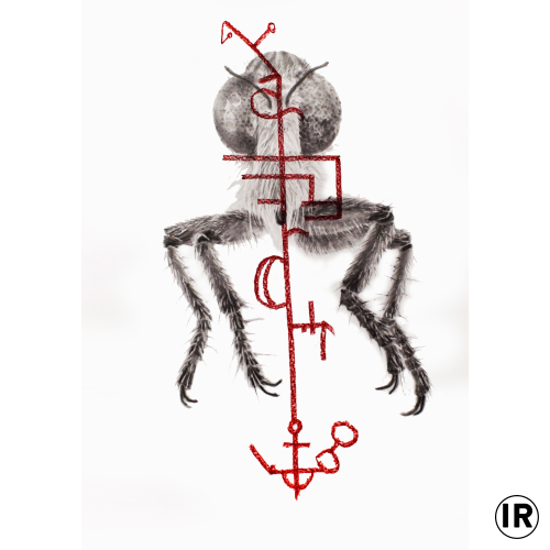 Wahrsagungsformel,Ion Rudolf,Graphite and pastel on Paper,0.70x0.50cm,2018