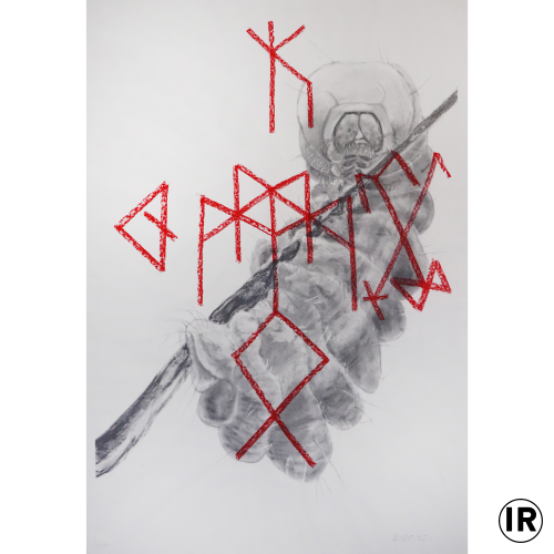 Überflussrune,ion rudolf, Graphite and pastel on paper, 70x50cm, 2019