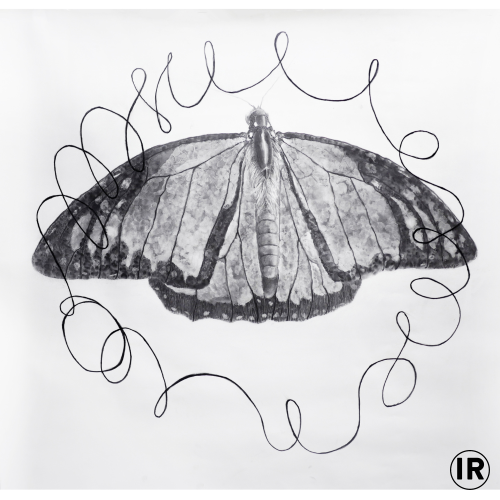 Tod,2017,ion rudolf,graphite and pastel on paper,1,50x1,50cm