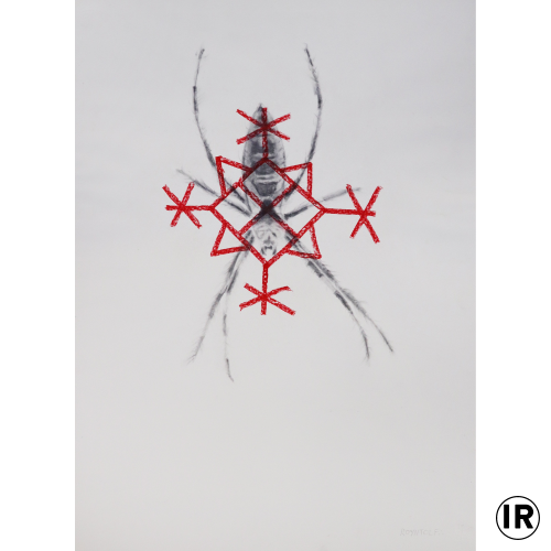 To protect the home ion rudolf, ghraphite and pastel on paper ,70x50cm,2019