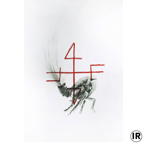 Tarnzauber, Ion Rudolf,Graphite and pastel on paer,0.70x0.50cm,2018g