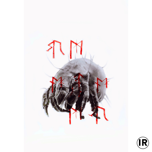 Heilzauber,Ion Rudolf,Graphite and pastel on paer,70x50cm,2018