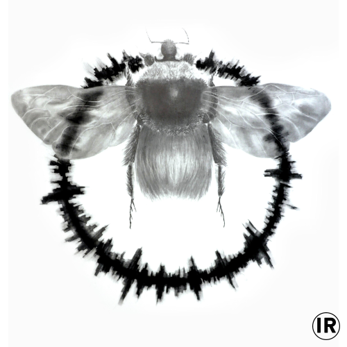 Genesis,2016,ion rudolf,graphite and pastel on paper,150x150cm