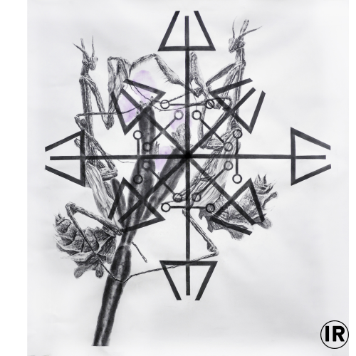 Shutzzauber,2018,ion rudolf,graphite and pastel on paper, 1,50χ1,50cm