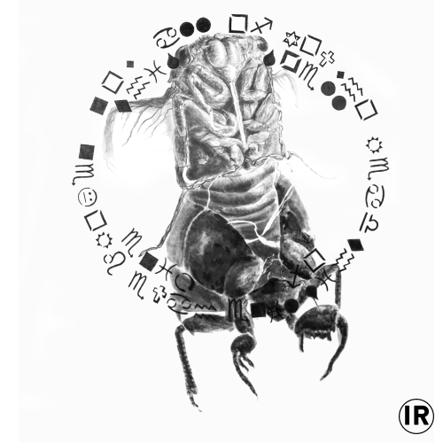 Bannkreis,2017,ion rudolf,graphite and pastel on paper, 170χ155cm