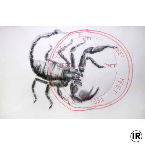 Βannfluch,Ion Rudolf,2018,graphite and pastel on paper,2,90χ2,50cm