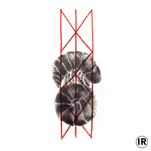 Wandlungszauber,Ion Rudolf,Graphite and Pastel on paper,0.70x0.50cm,2018