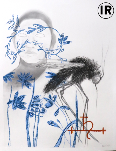 Ion-Rudolf-Blood-Sister70-x-50-Graphite-and-Pastel-on-Paper-2023